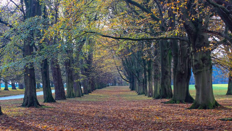 Knutsford